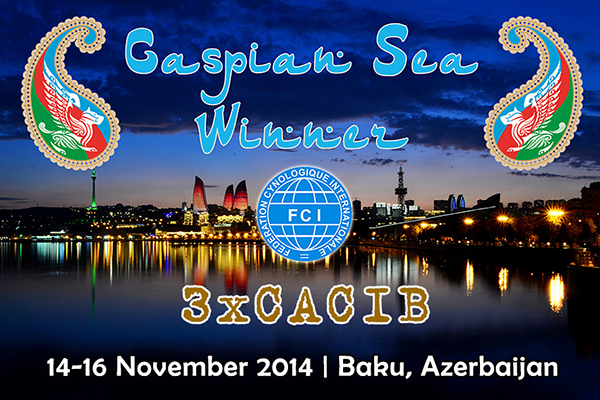 14-16 Ноября 2014  CASPIAN SEA WINNER 3XCACIB Banner_caspian_sea2014